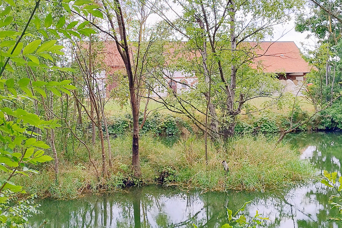  Der ehemalige Kuhstall auf der Mühleninsel von den Fischteichen aus gesehen.