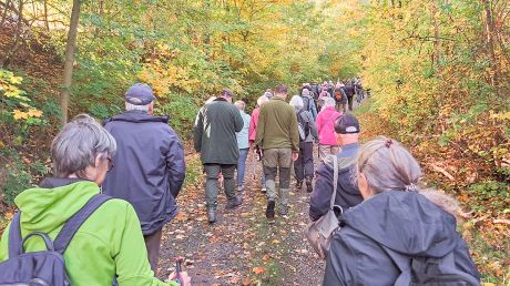 Tag des Wanderns 2026  in Hildesheim