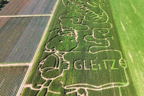 Das Mais-Labyrinth von Hof Lauenroth in Adenstedt.